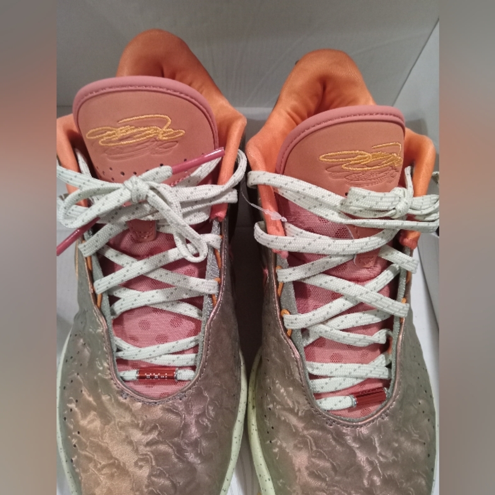 COPY - LeBron James XXI Queen Ounch Shoes